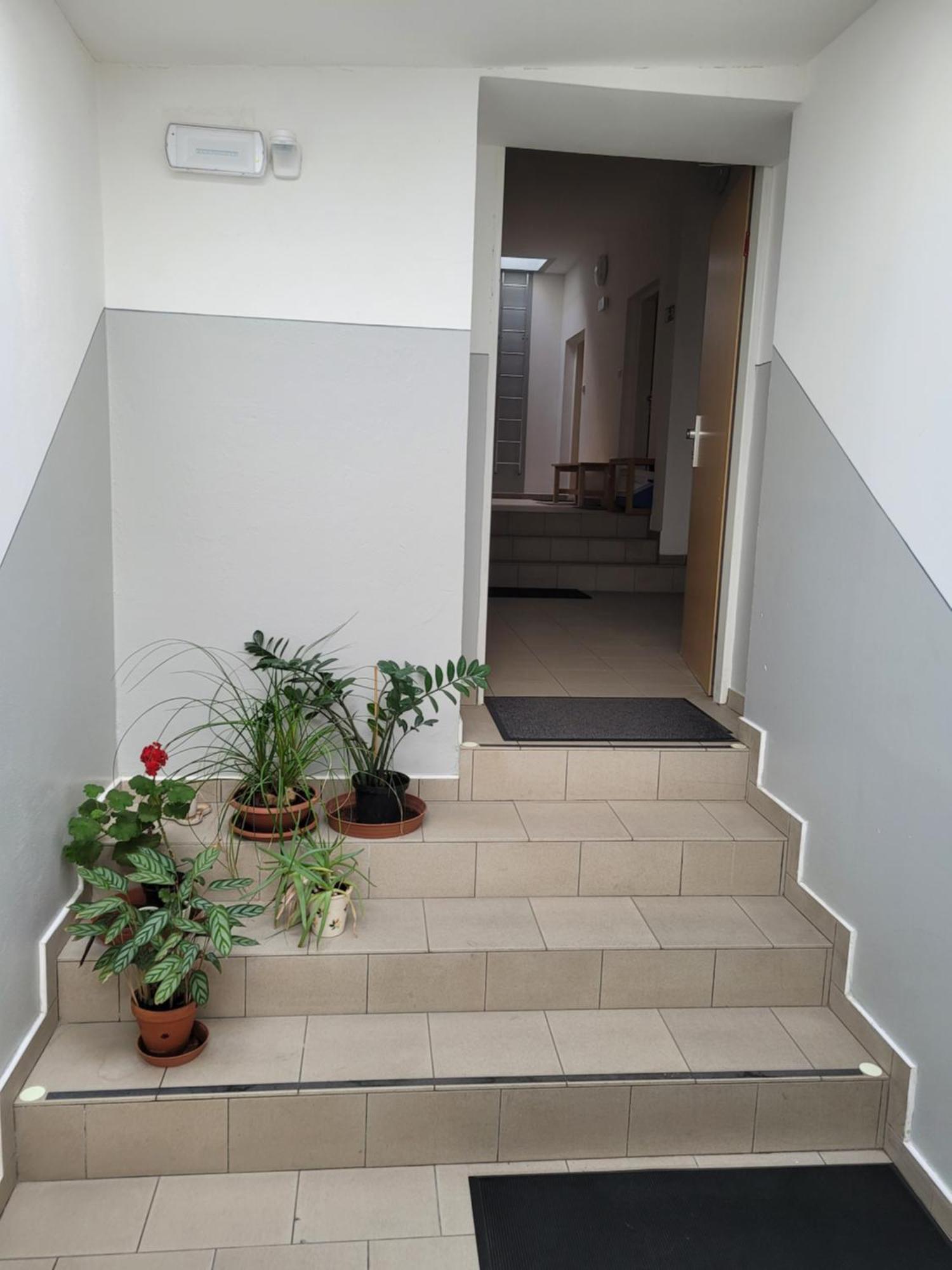 Pod Strechou Svoboda nad Úpou Exterior foto